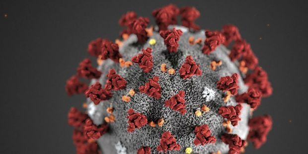 coronavirus-08-nouvelles-infections-annoncees