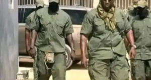 Enough With All These Militias