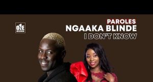 « I Don’t Know » : Regardez le nouveau clip de Ngaaka Blindé feat Adiouza