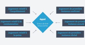 Procès en deuxième instance : Appels special pour Yaw