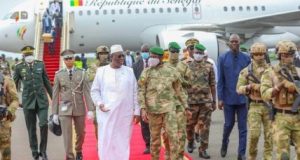 Senegalese Army Dismantles Several Clandestine Gold Mining Sites on the Border with Mali