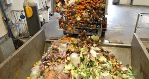 Un milliard de repas gaspillés chaque jour dans le monde, selon l’ONU