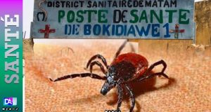 Cas de Crimée-Congo découvert à Bokidiawé: Zoom sur cette maladie épidémique