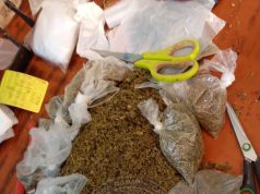 LUTTE CONTRE LE TRAFIC DE DROGUE : LA GENDARMERIE FRAPPE FORT À DIAMNIADIO ET HANN