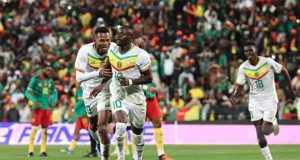 A moins de 3 mois de la Can : Les Lions rassurent face aux Indomptables