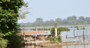 Lutte contre l’ensablement des rizières et de la mangrove : des digues filtrantes érigées par la population