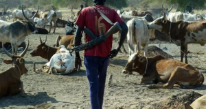 Sédhiou : vol avec usage d’armes à feu dans le Balantacounda : le président du comité de veille, Séraphin Mané blessé, l’inquiétude enfle !