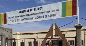 Un département, un centre de formation professionnelle : la nouvelle stratégie de l’Etat pour l’employabilité
