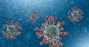 CORONAVIRUS : 15 NOUVEAUX CAS ANNONCÉS CE MARDI