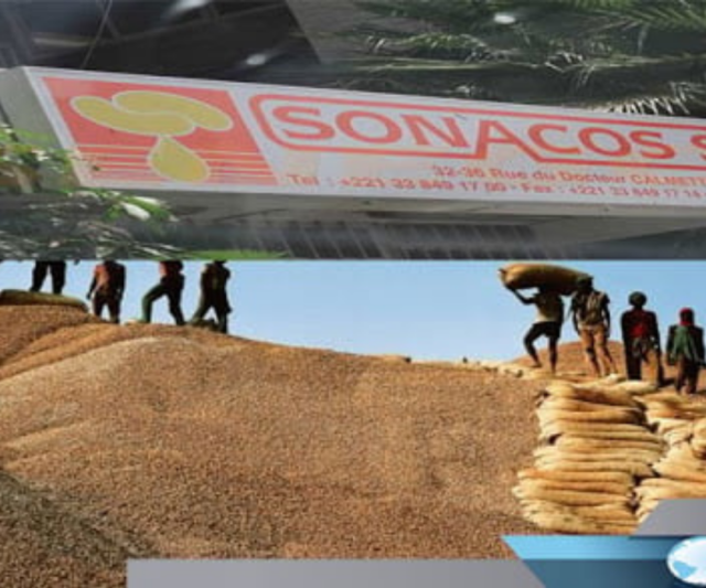 diourbel-situation-trop-preoccupante-de-la-sonacos-les-syndicalistes-alertent
