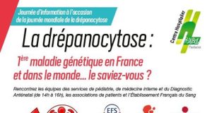FOCUS SUR LA DRÉPANOCYTOSE