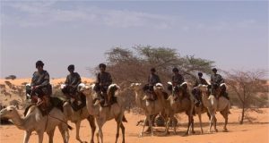 Gamou 2020 : Arrivée d’une forte délégation mauritanienne avec un troupeau de chameaux en guise de