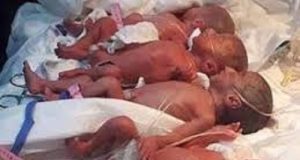 Inédit : Une Malienne accouche de neuf bébés (Photos)