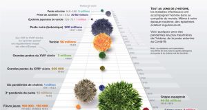 INFOGRAPHIE : ZOOM SUR LES GRANDES ÉPIDÉMIES DE CES DERNIÈRES ANNÉES