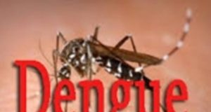 Kaffrine: Trois nouveaux cas de dengue détectés