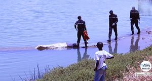 Kaolack : le corps sans vie d’un jeune homme repêché d’une marre d’eau
