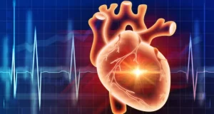 Le rythme cardiaque