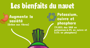 Les bienfaits des NAVETS