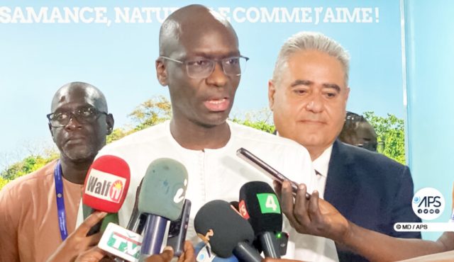 les-chantiers-de-laeroport-de-ziguinchor-executes-a-95-dg-aibd