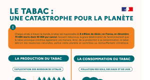 Santé : les mesures phares prises par le Programme national de lutte contre le tabac