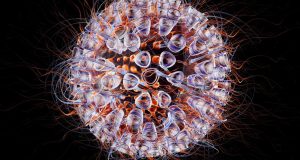 Sida : Pourquoi n’existe t-il pas de vaccin depuis 30 ans d’existence?