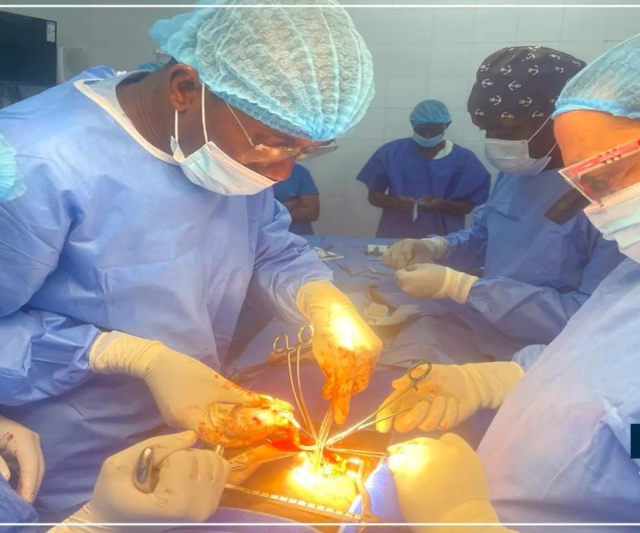 transplantation-renale.png