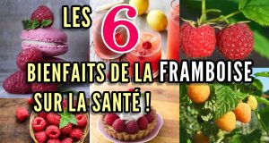 (Vidéo) Les bienfaits des framboises