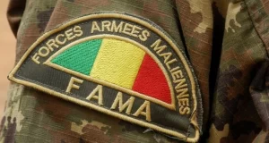 Mali: attaque sanglante du Jnim dans le village symbole de Farabougou