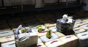 Descente nocturne à Hann-Marinas : L’OCRTIS surprend un charretier avec 173 kg de drogue