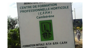 Pr Djibril Djigeul, directeur du centre de développement horticole de cambérène (cdh) : «Il suffit de mettre les cultures moins vulnérables, pour faire baisser le niveau des nématodes»