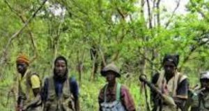 Ziguinchor – représailles contre un «rebelle repenti» par des maquisards du Mfdc : un groupe d’éléments armés tire sur le car «horaire» de Bity-Bity