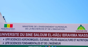 Kaolack – retard sur la délibération des primes des lauréats à la confection des logos a l’USSEIN : les étudiants dans tous leurs états