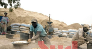 Démarrage de la campagne de commercialisation de l’arachide hier : encore un mauvais départ