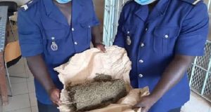 La gendarmerie de Ndiaganiao saisit plus de 2 kg de chanvre indien
