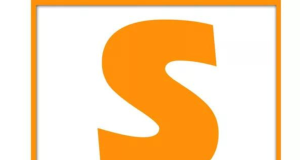 Situation des travailleurs de Senego : le Synpics met en garde Sidy Mbacké