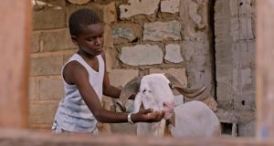 Cinéma : ‘’Le mouton de Sada’’ de Pape Bouname Lopy bien accueilli par le public dakarois