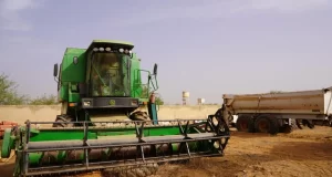 Présidentielle au Sénégal: à Richard Toll, le monde agricole face au changement climatique