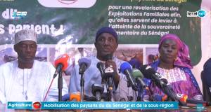 Atteinte de la souveraineté alimentaire au Sénégal : le CNCR revient sur les défis et formule des recommandations