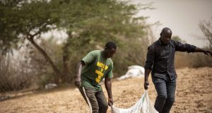 Au Sénégal, le coût des engrais étrangle les maraîchers