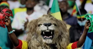 CAN 2023 : le surnom des 24 équipes