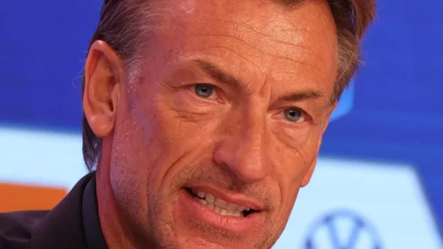 renard-fff.webp.webp