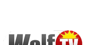 Médias : le groupe Walfadjri va enfin retrouver son signal à partir 20h