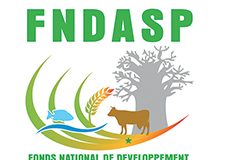 Filière agro-alimentaire : le FNDASP mobilise un financement de 131 millions FCfa