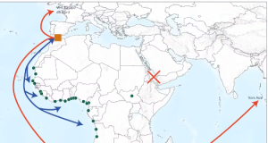 Comment le conflit Israël-Hamas redessine les routes du transport maritime