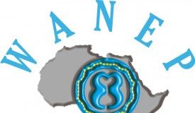 West Africa network for peacebuilding sur les actes de violence électorale : le groupe déplore et appelle à tisser des relations pour la paix