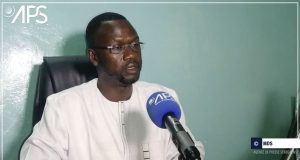 Campagne agricole 2023-2024 : les prévisions de rendements jugées “bonnes” à Kaolack