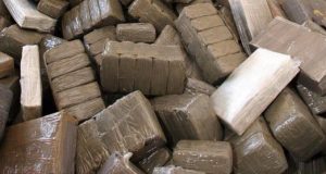 137 kg de drogue saisis par la brigade maritime des douanes de Rufisque
