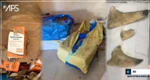 Karang (Kaolack) :Deux dealers arrêtés en possession de 196 kg de chanvre indien