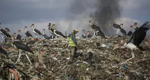 Santé Publique : l’OMS accuse la pollution atmosphérique