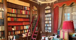 Culture : Alioune Tine suggère au président Diomaye Faye de racheter et de ramener la bibliothèque de Senghor